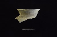 藏品(陶罐)的圖片